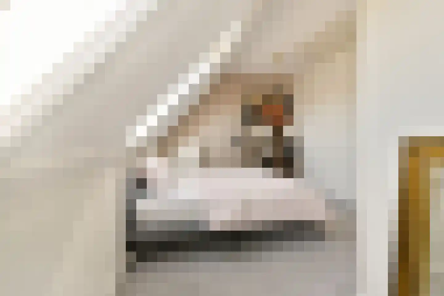 Dagpauwoogstraat 7 Aalsmeer thumbnail 33