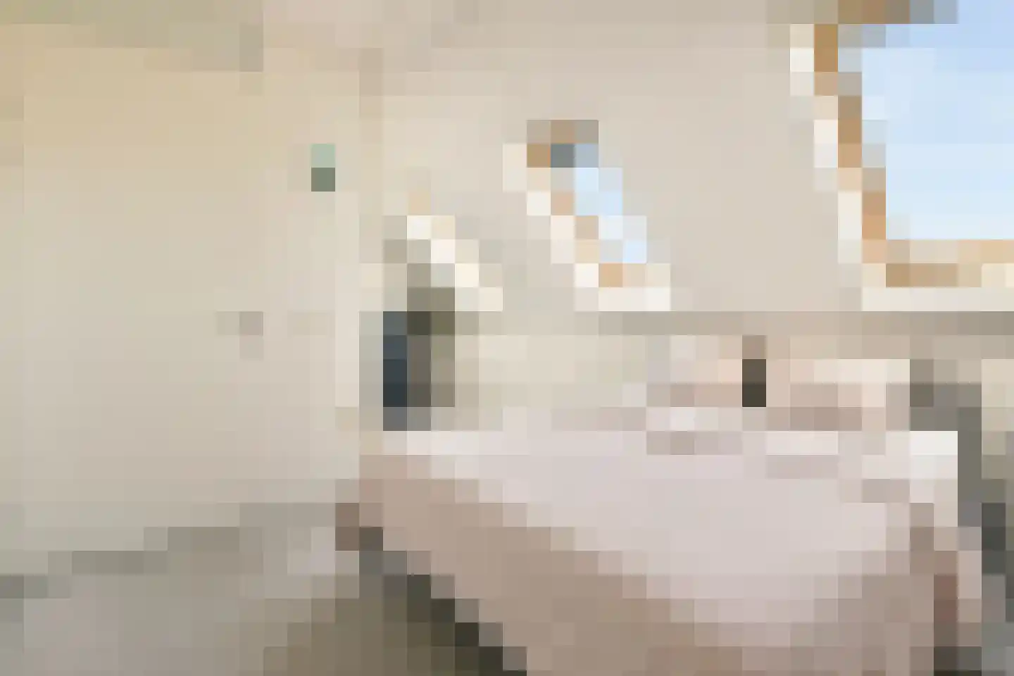 Dagpauwoogstraat 7 Aalsmeer thumbnail 34