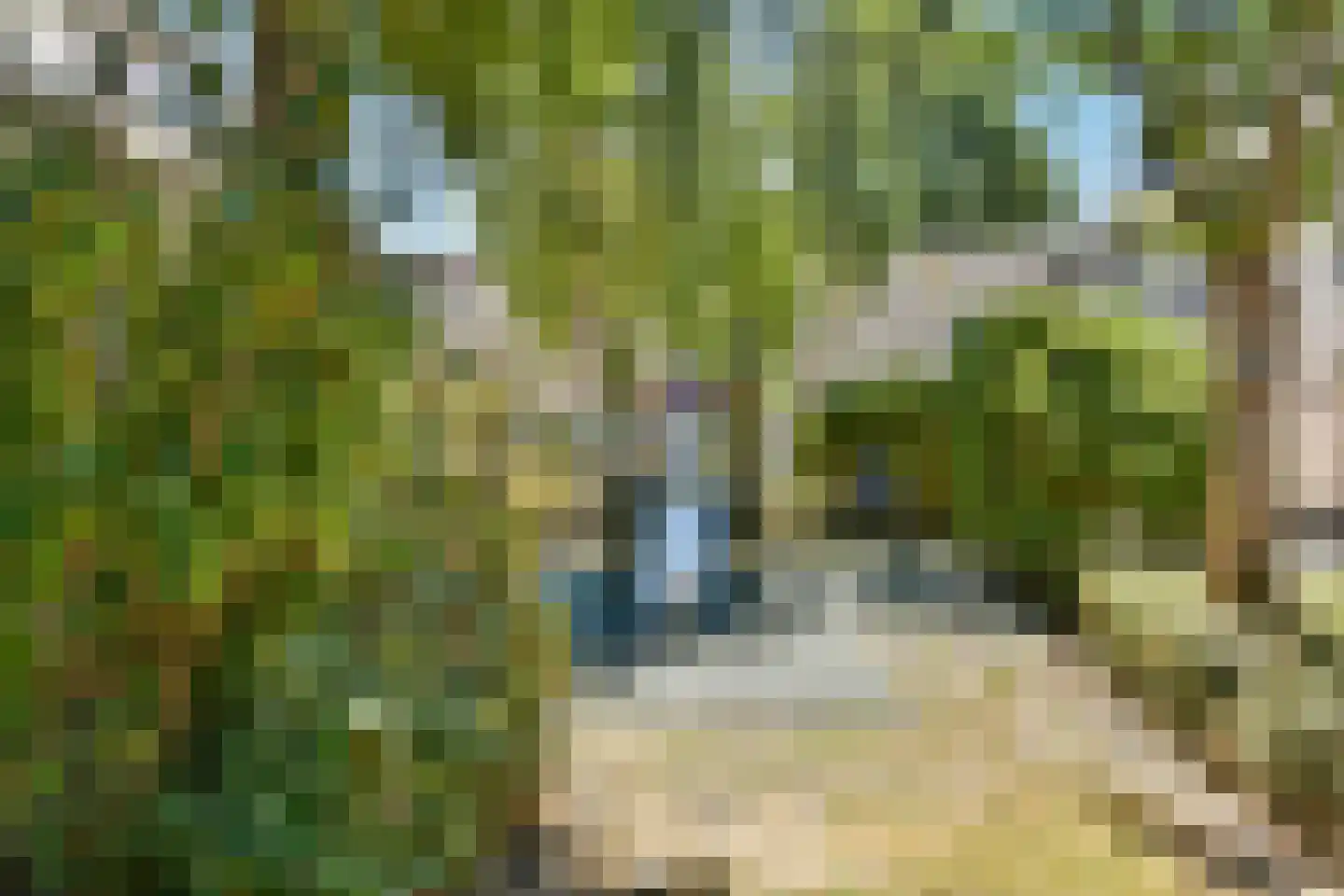 Dagpauwoogstraat 7 Aalsmeer thumbnail 36