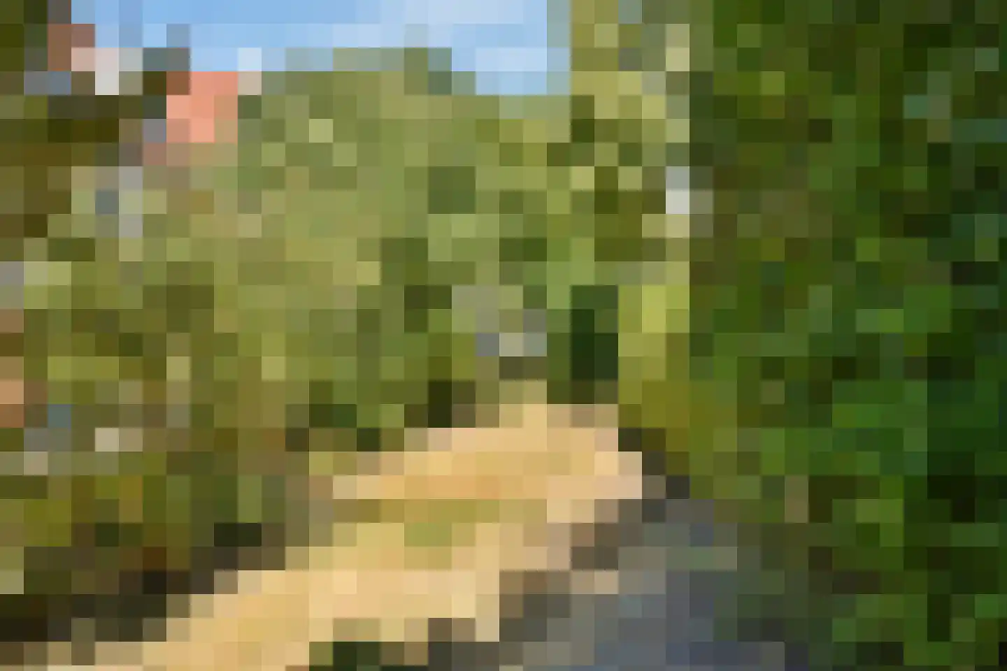 Dagpauwoogstraat 7 Aalsmeer thumbnail 37