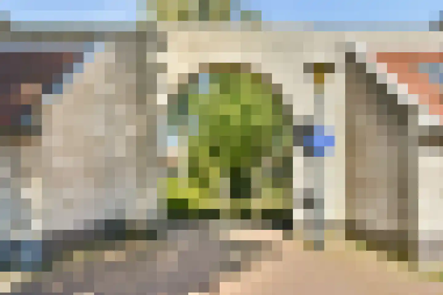 Dagpauwoogstraat 7 Aalsmeer thumbnail 38