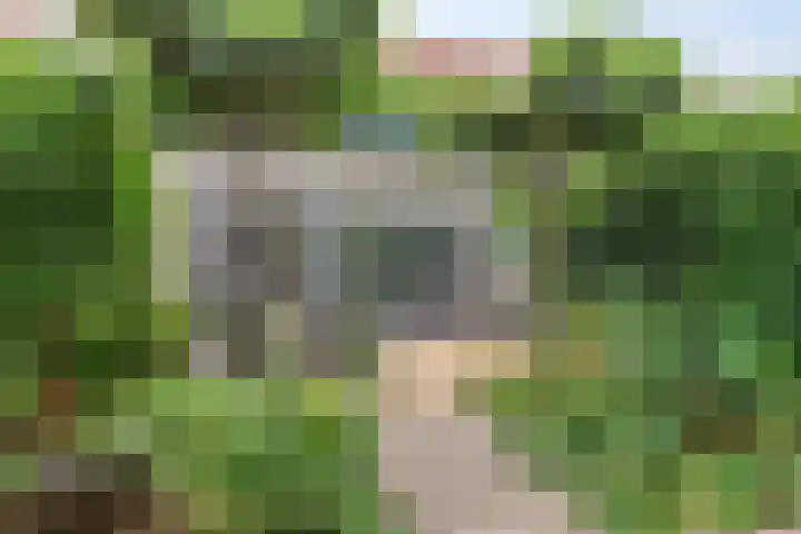 Dagpauwoogstraat 8 Aalsmeer thumbnail 20