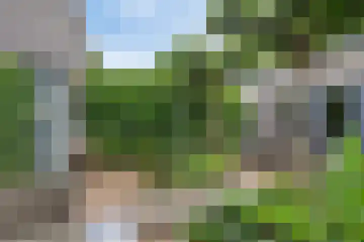 Dagpauwoogstraat 8 Aalsmeer thumbnail 21
