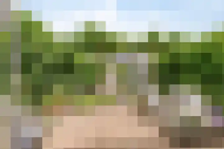 Dagpauwoogstraat 8 Aalsmeer thumbnail 22