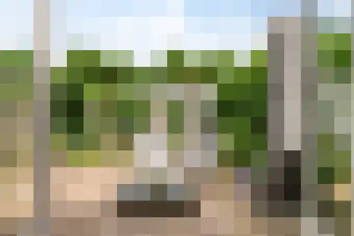 Dagpauwoogstraat 8 Aalsmeer thumbnail 23