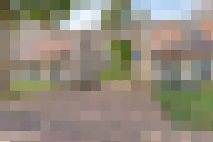 Dagpauwoogstraat 8 Aalsmeer thumbnail 24