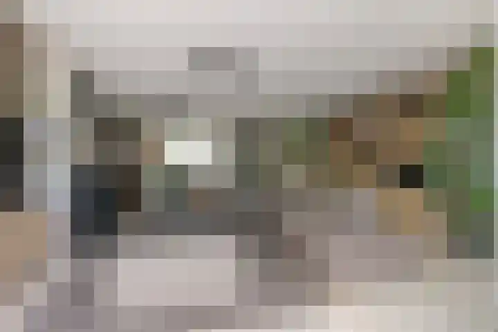 Dagpauwoogstraat 8 Aalsmeer thumbnail 4