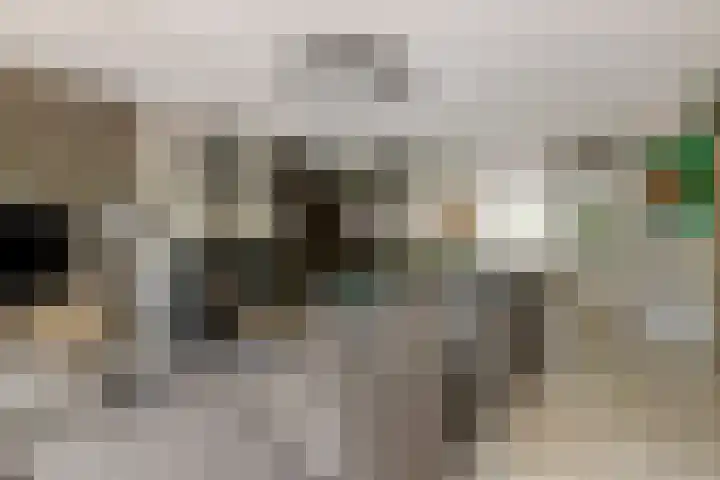 Dagpauwoogstraat 8 Aalsmeer thumbnail 5