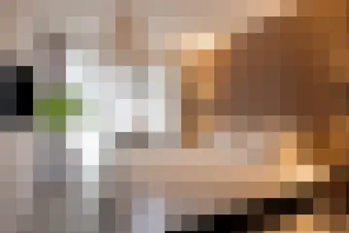 Daguerrestraat 158 Amsterdam thumbnail 4