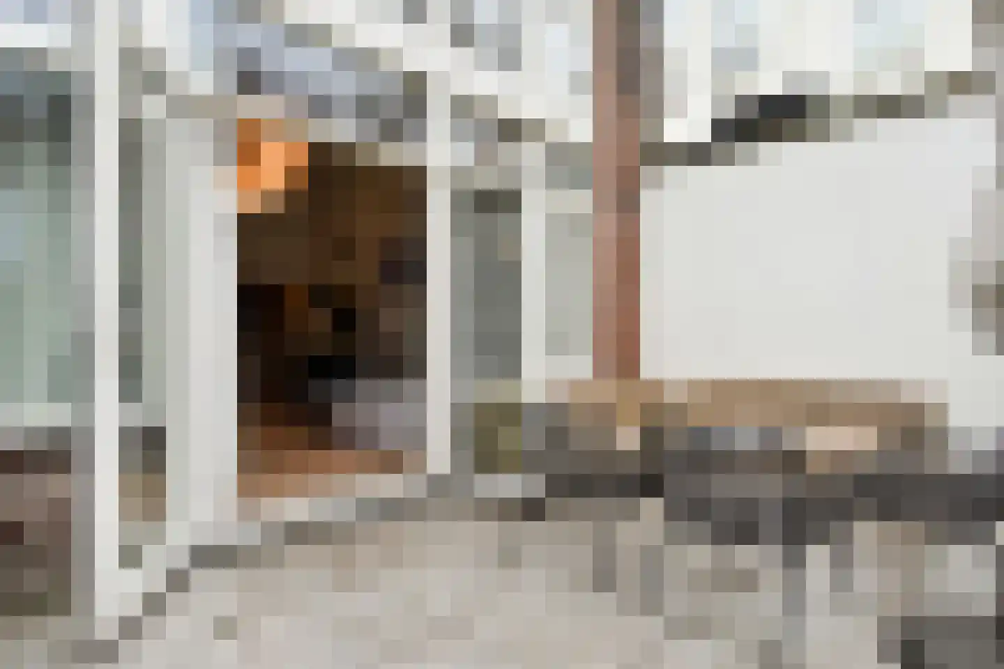 Daguerrestraat 173 E Den Haag thumbnail 17