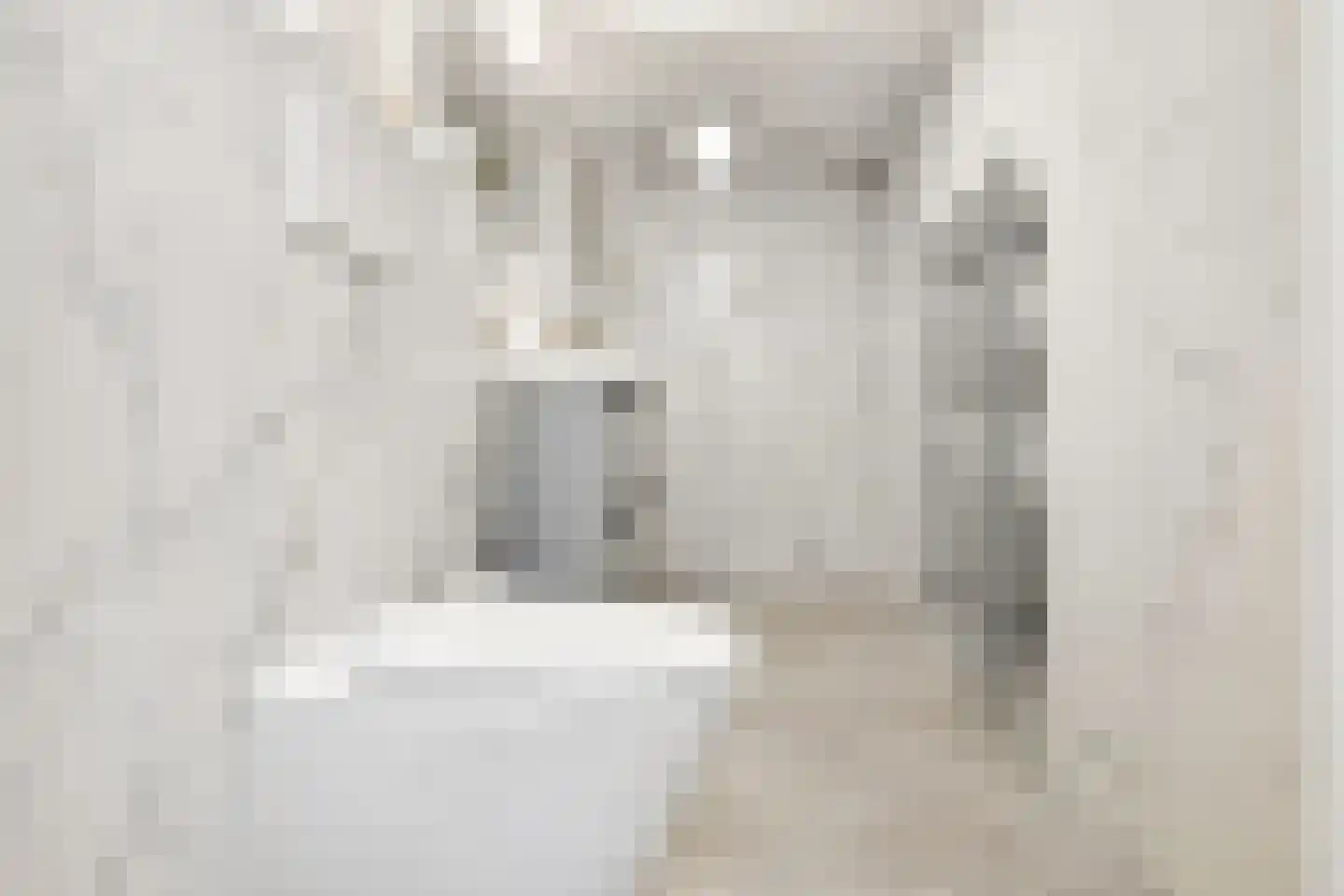 Daguerrestraat 173 E Den Haag thumbnail 28