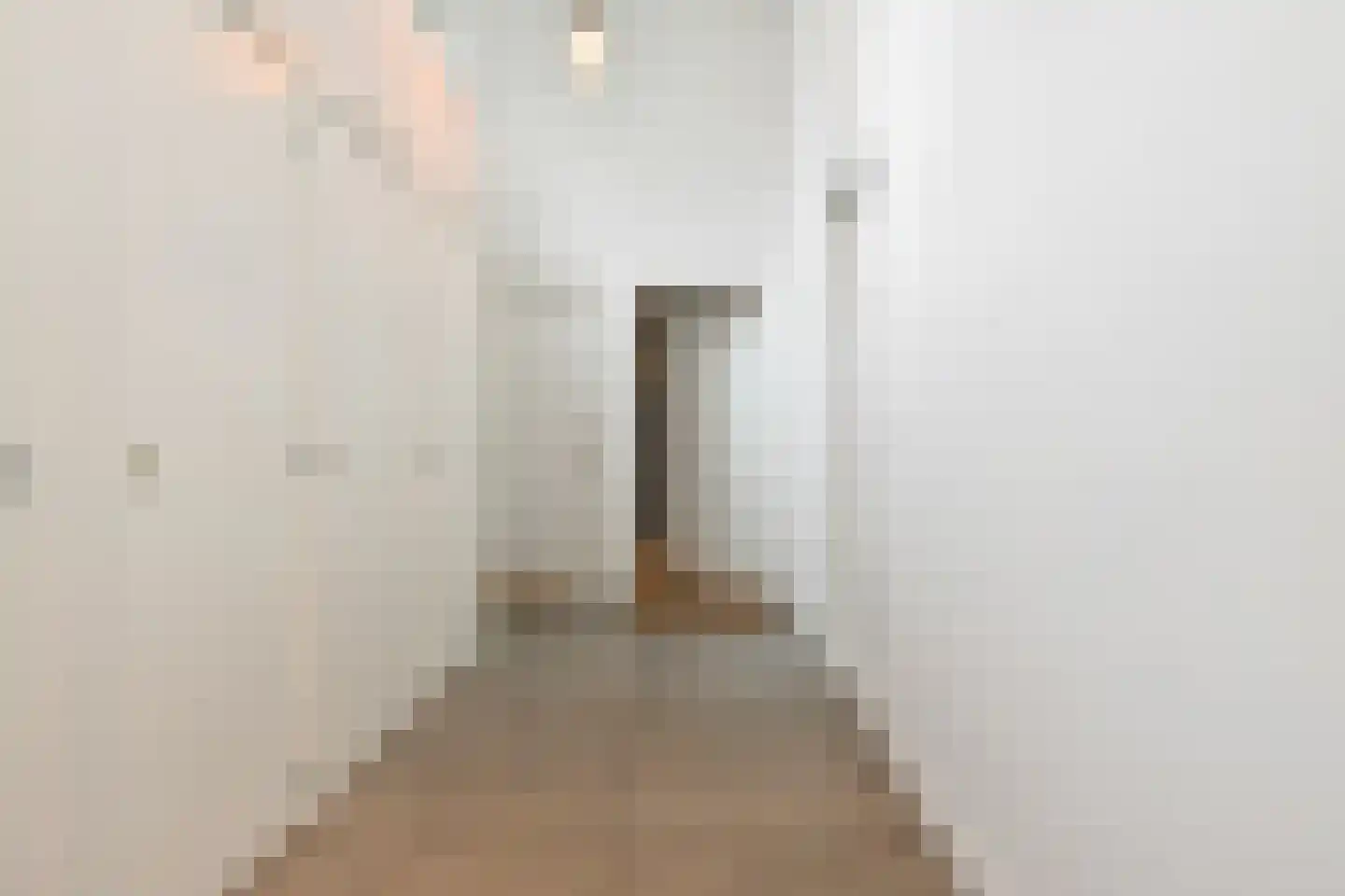 Daguerrestraat 173 E Den Haag thumbnail 32