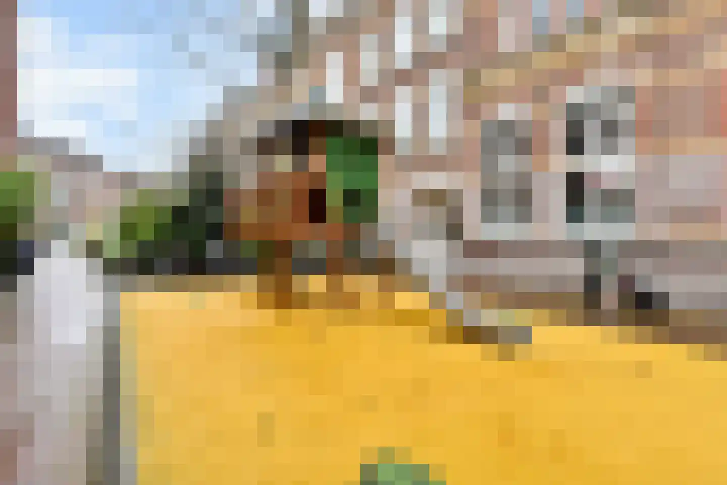 Daguerrestraat 173 E Den Haag thumbnail 36