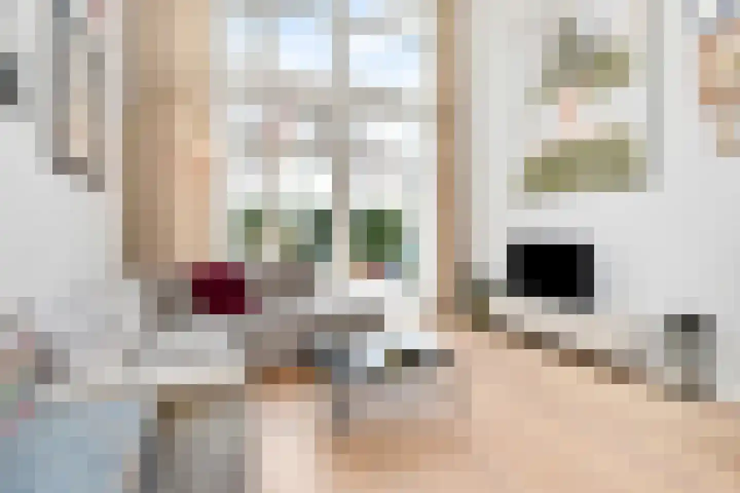 Daguerrestraat 173 E Den Haag thumbnail 9