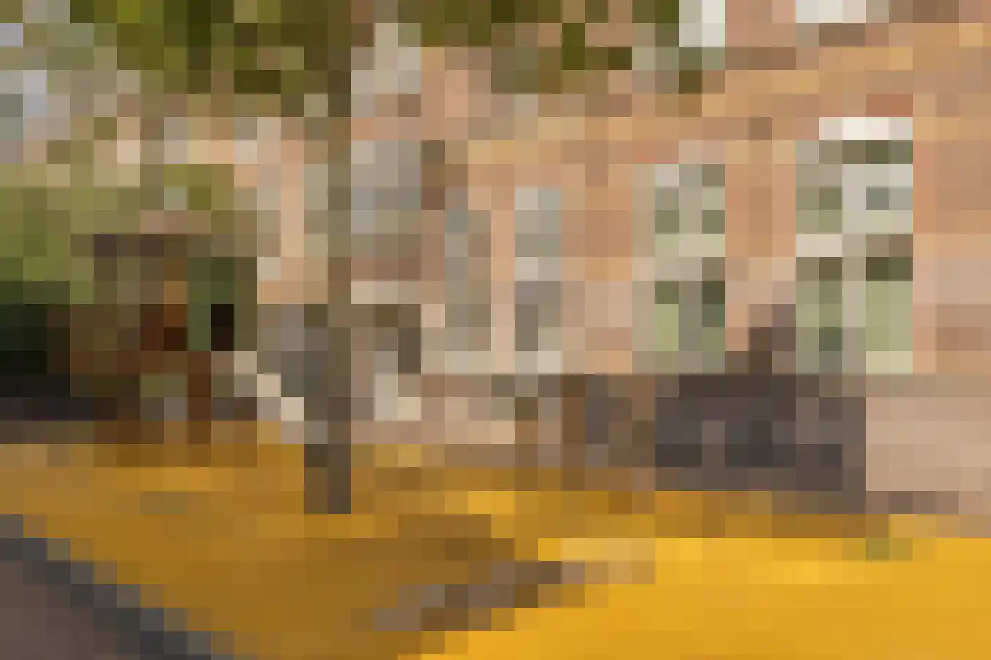 Daguerrestraat 175 A Den Haag thumbnail 26