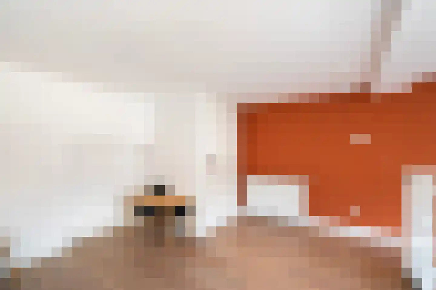 Daguerrestraat 175 E Den Haag thumbnail 22