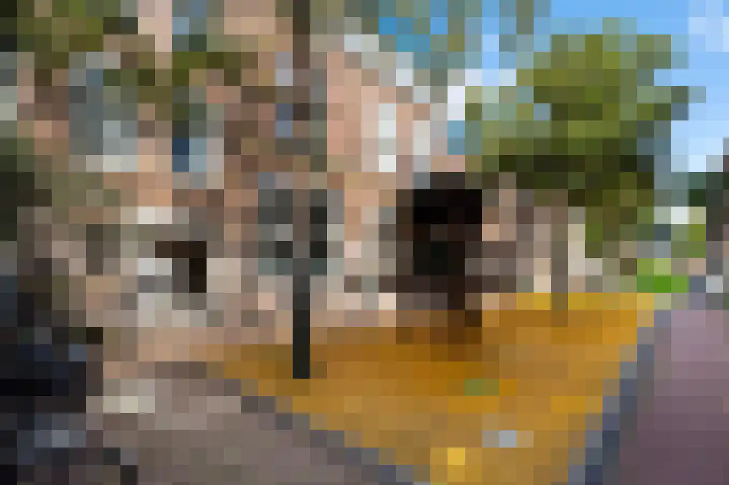 Daguerrestraat 175 E Den Haag thumbnail 4