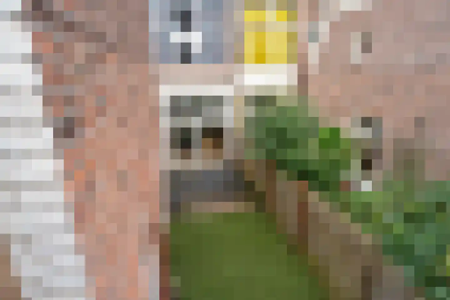 Daguerrestraat 56 Den Haag thumbnail 28