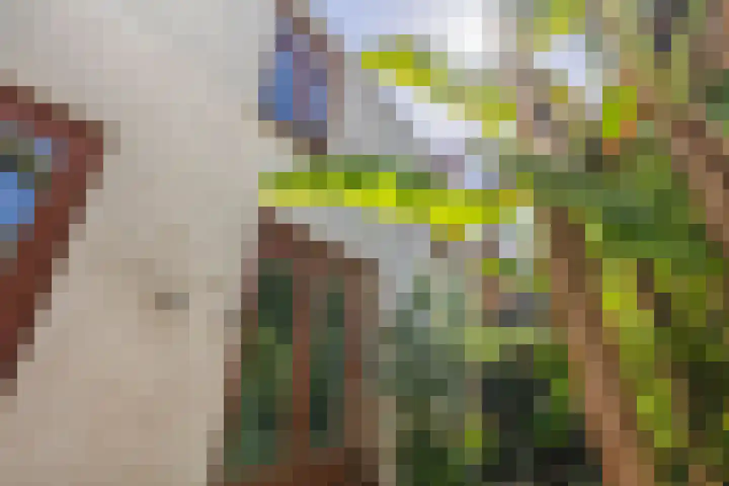 Daguerrestraat 6 Den Haag thumbnail 21