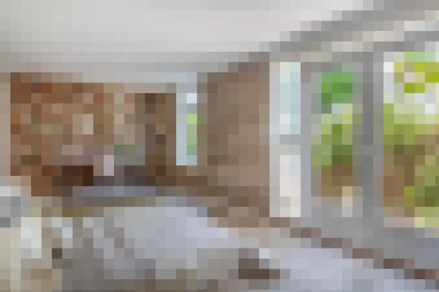 Daguerrestraat 6 Den Haag thumbnail 23