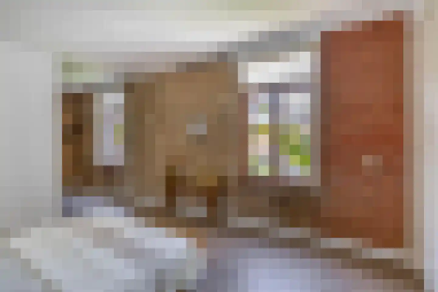 Daguerrestraat 6 Den Haag thumbnail 25
