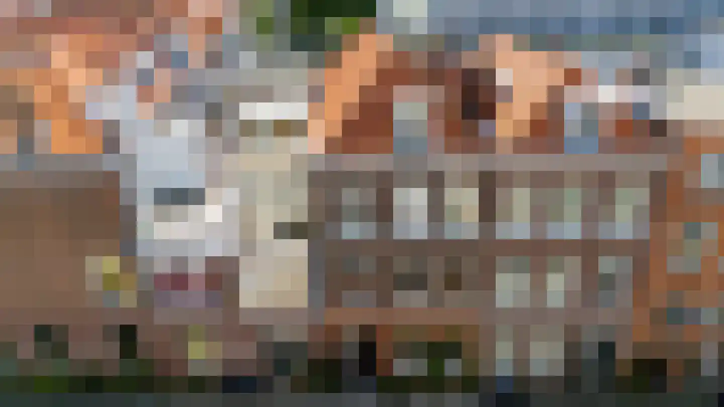 Daguerrestraat 6 Den Haag thumbnail 33