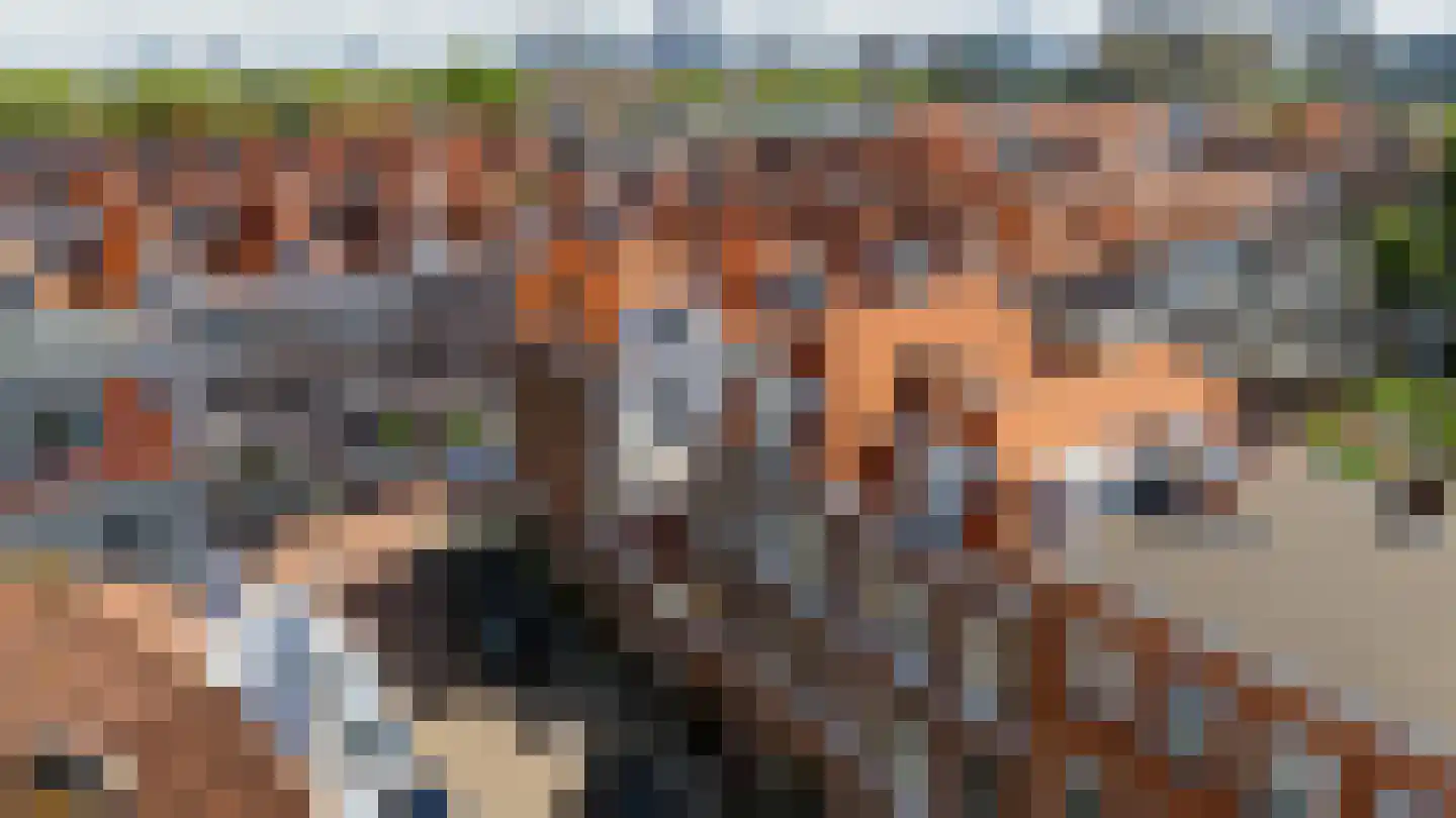 Daguerrestraat 6 Den Haag thumbnail 35