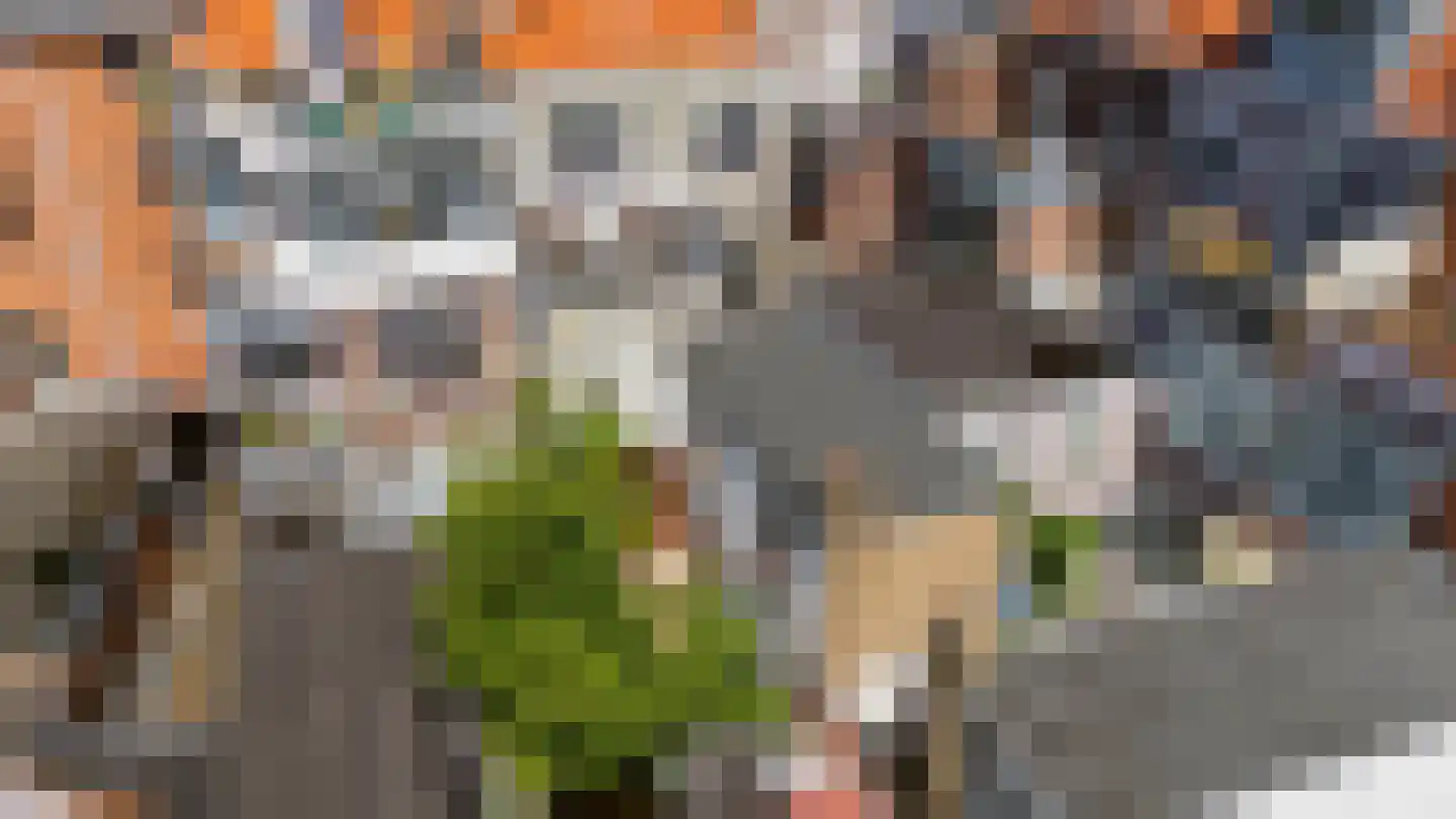 Daguerrestraat 6 Den Haag thumbnail 38