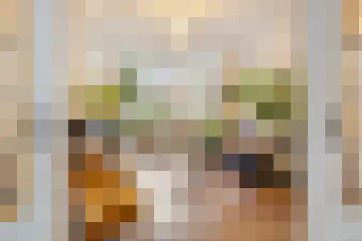 Daguerrestraat 74 Den Haag thumbnail 4