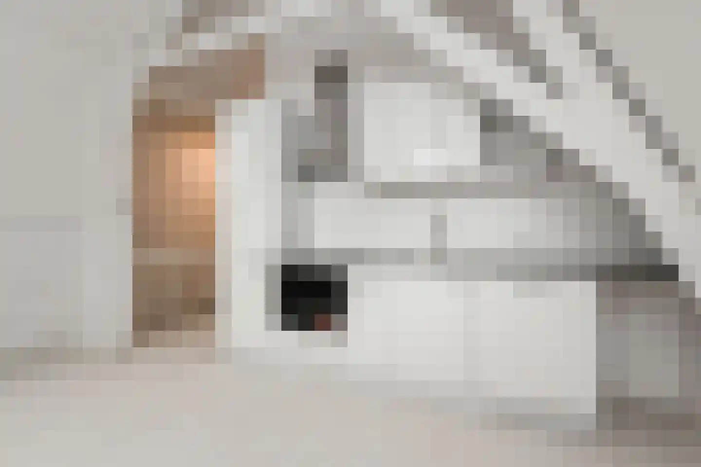 Daguerrestraat 89 B Den Haag thumbnail 7