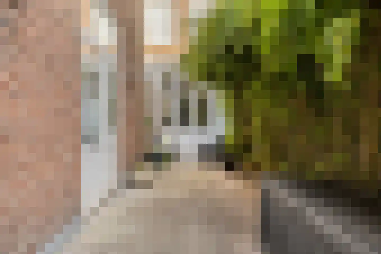 Daguerrestraat 92 Den Haag thumbnail 13