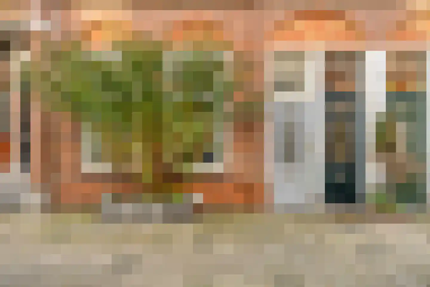 Daguerrestraat 92 Den Haag thumbnail 28