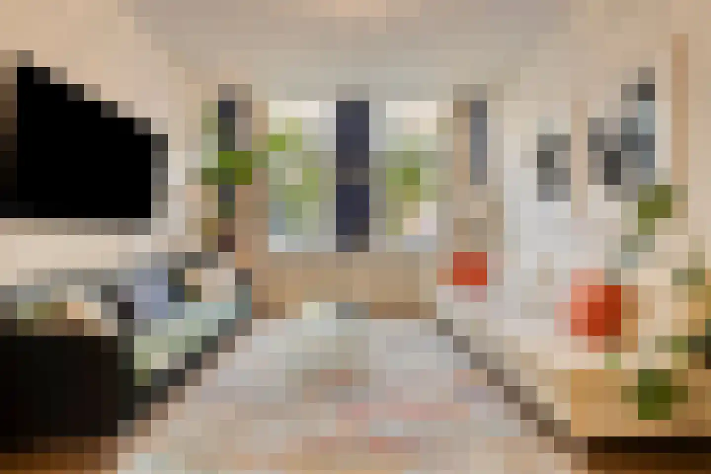 Daguerrestraat 92 Den Haag thumbnail 6