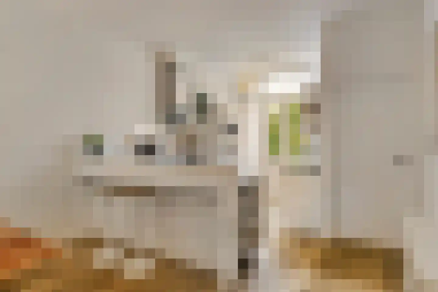 Daguerrestraat 92 Den Haag thumbnail 8