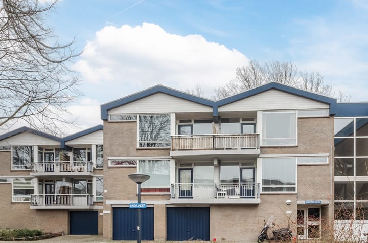 Dagvlinder 98 en Leiden foto