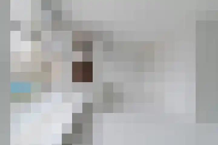 Dagvlinder 98 Leiden thumbnail 11
