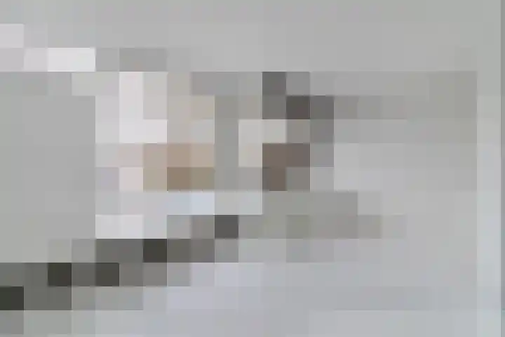 Dagvlinder 98 Leiden thumbnail 13