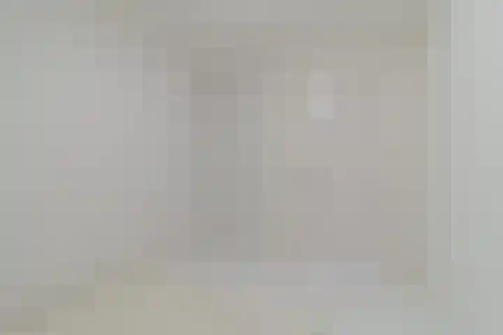 Dagvlinder 98 Leiden thumbnail 20