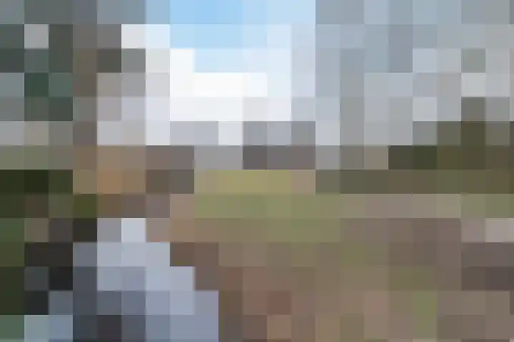Dagvlinder 98 Leiden thumbnail 25