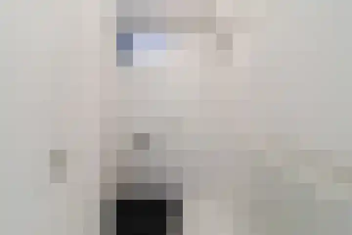 Dagvlinder 98 Leiden thumbnail 5
