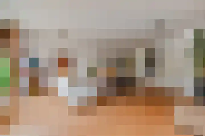 Dahlia 5 Nootdorp thumbnail 10