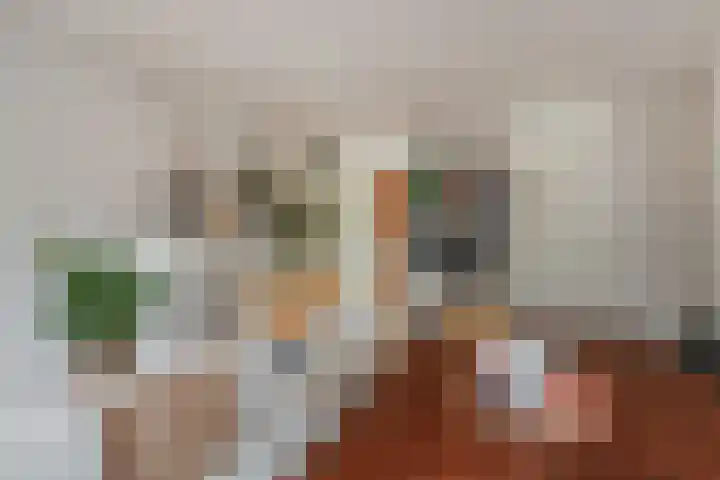 Dahlia 5 Nootdorp thumbnail 12