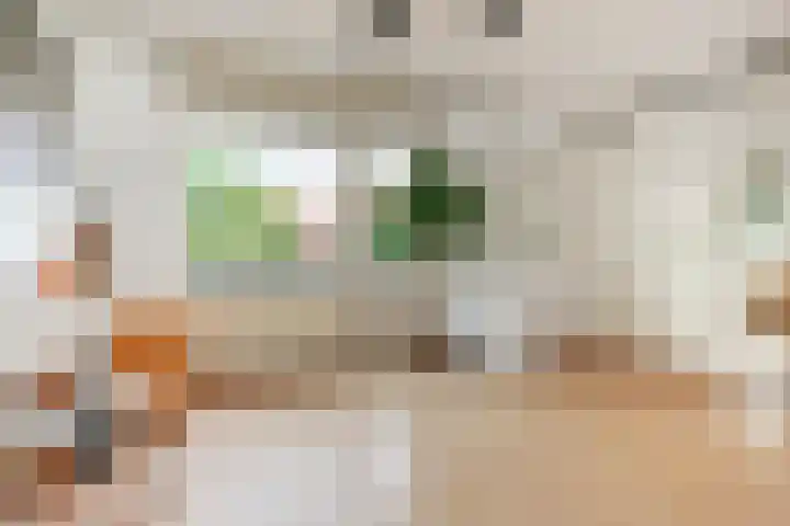 Dahlia 5 Nootdorp thumbnail 22