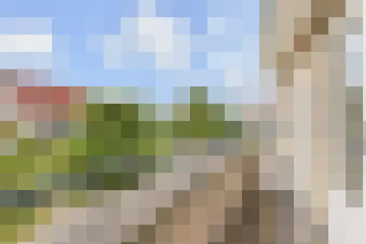 Dahlia 5 Nootdorp thumbnail 23