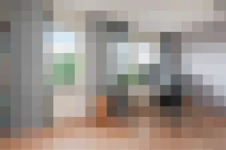 Dahlia 5 Nootdorp thumbnail 26