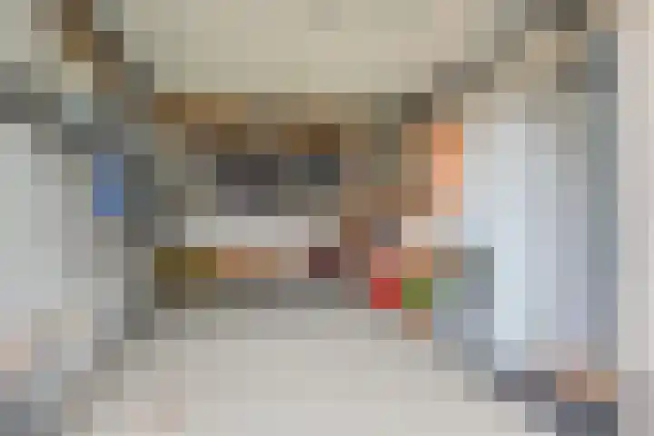 Dahlia 5 Nootdorp thumbnail 44