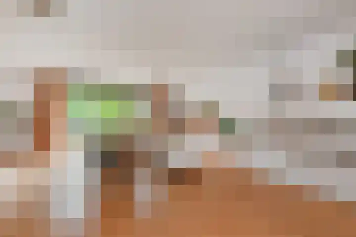 Dahlia 5 Nootdorp thumbnail 5