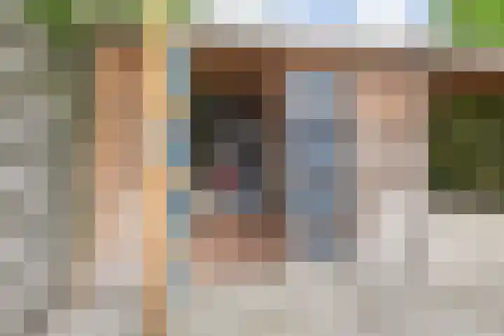 Dahlia 5 Nootdorp thumbnail 50