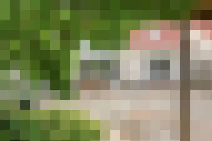Dahlia 5 Nootdorp thumbnail 52