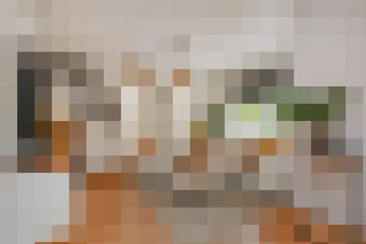 Dahlia 5 Nootdorp thumbnail 8